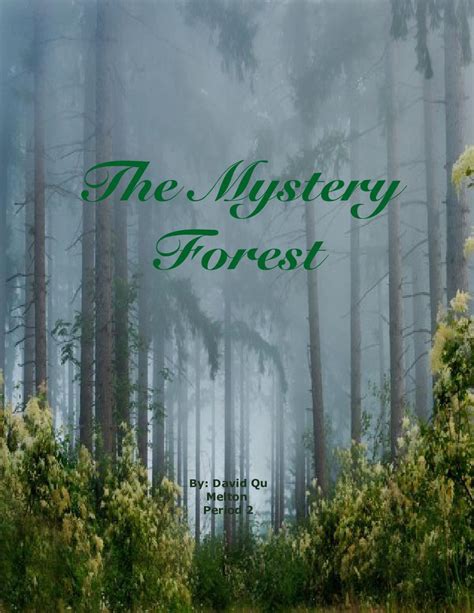 ⭐ The mistery forest .